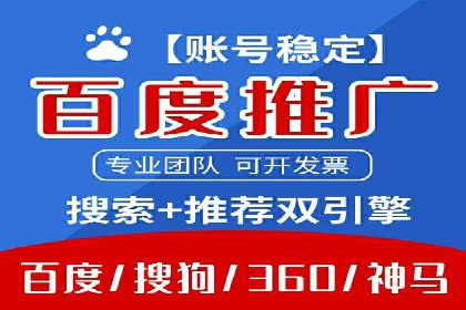SEM推广实战：成功案例解读与策略调整